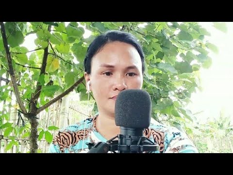 🎶Hero🎵 (Mariah carey song)Cover by Pagagao vlog