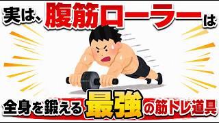 【筋トレ】腹筋ローラーが家トレ最強級な理由　#トリビア#豆知識#筋トレ
