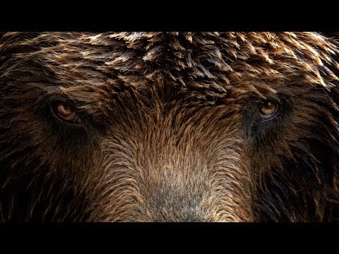 Hør Gøran Bolme fortelle historia om Skyttar-Tølløv og Mannbjønn