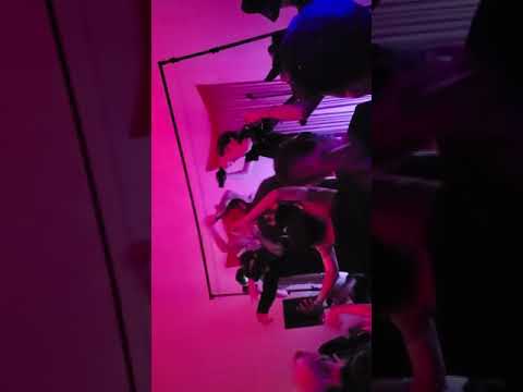 The Underd0g-I SEE STARS [Live in Los Angeles, CA 7/30/21]