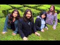 The Magic Numbers - This Love