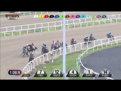 Donga Ilbo Cup 2013 Cheonnyeon Dongan