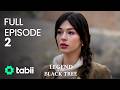 Legend Of The Black Tree Full Episode 2