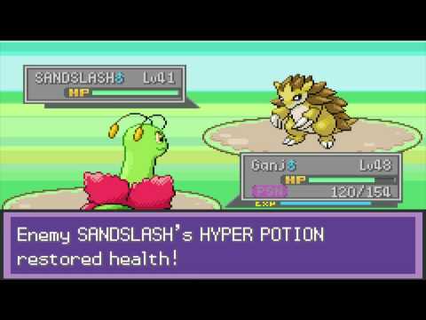 Pokemon Liquid Crystal Part 49 - Crazy Bird Keeper