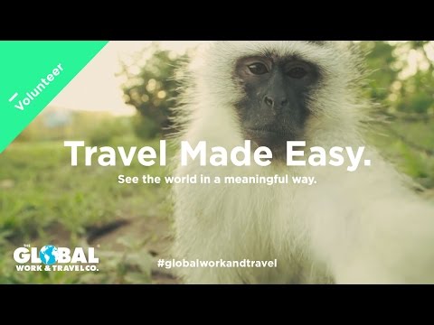 Monkey Rehabilitation in South Africa - Global Work & Travel