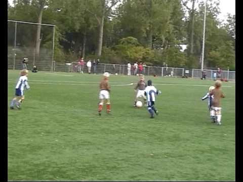 Forum Sport F7 - DSO F7