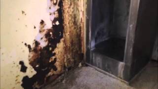 Baton Rouge prison tour