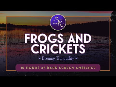 Evening Tranquility: The Calming Ambience of Frogs & Crickets for Sleep - Black Screen 10 Hours ASMR