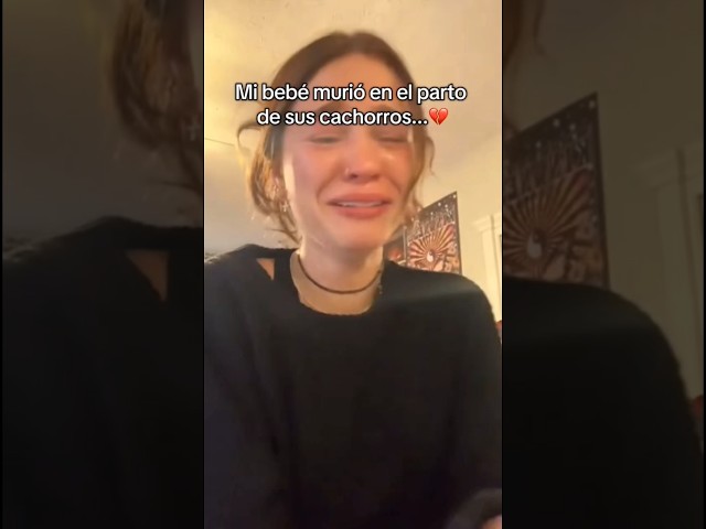 Vídeo relacionado con BCHKO 2 Piezas Conjunto de Joyas, Anillo y Collar, Collar de Gato con Diamante, Colgante de Gatito Kawaii con Lazo, Joyería, Regalos para Niñas