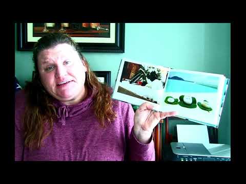 Ishi: simple tips from a solid friend by Akiko Yabuki a read aloud by Miss Phelan