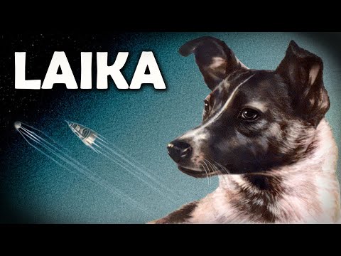 Laika: The First Dog in Space