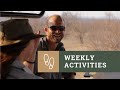 Weekly Activities Update Bushwise