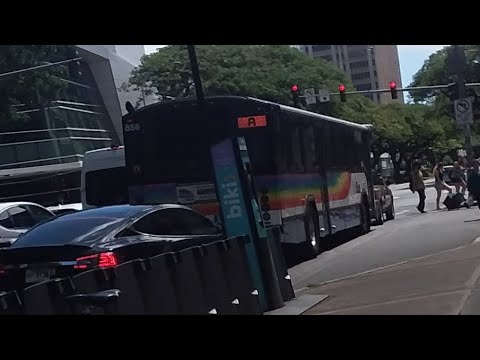 TheBus Honolulu rota A, Cityexpress!UH Manoa ônibus 856 (março de 2023)