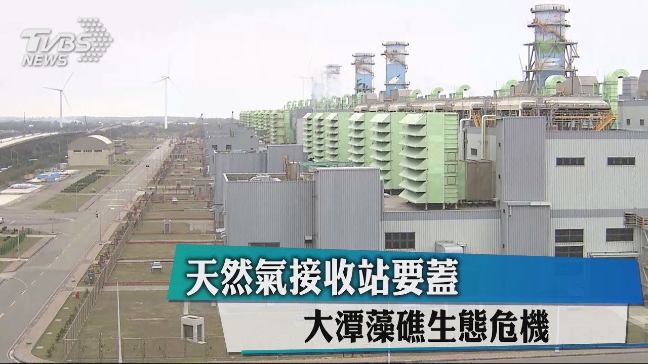 天然氣接收站要蓋 大潭藻礁生態危機