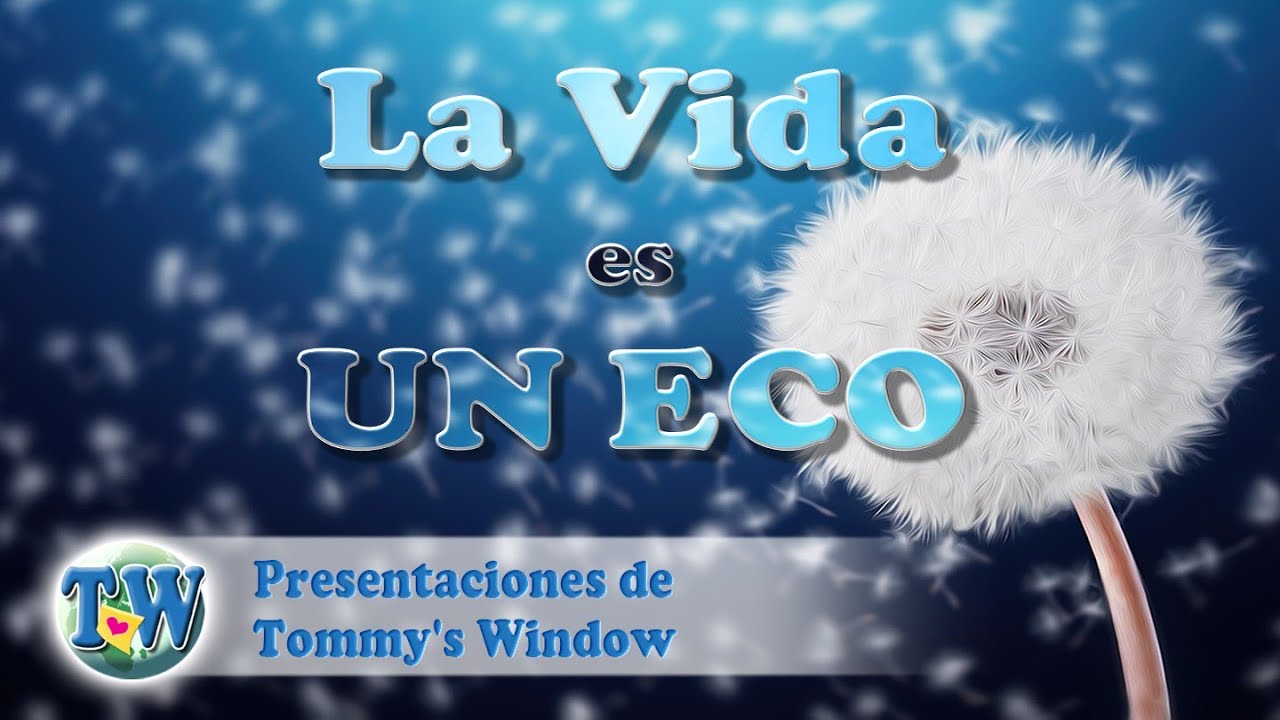 La vida es un eco - Tommy's Window Español