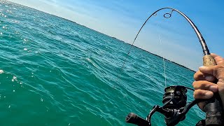 Florida Keys Fishing | Exploring Ledges Off The Beach For All Kinds Of Fish!