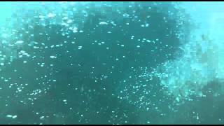 VISION SUBMARINA ISLA DE TABARCA