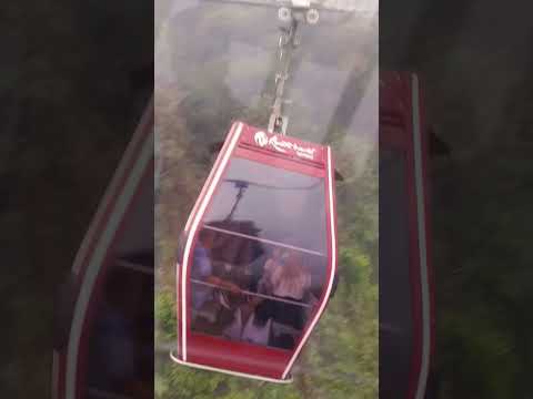 Reel tagged #car