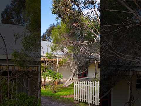 10 Warnock Street, Maldon, VIC 3463, 3 कमरे, 1 बाथरूम, House