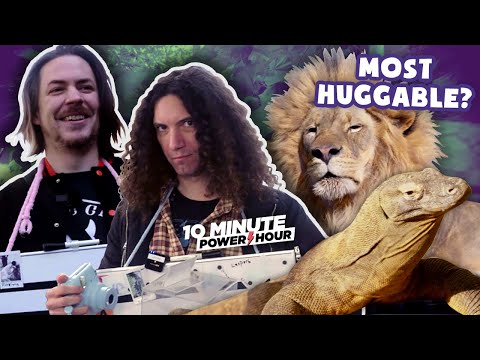 Ranking every animal at the Zoo