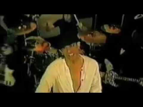 Stephen Pearcy - In Like Pink