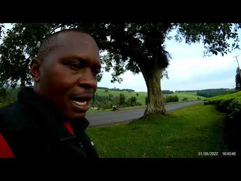 Inside sasini tea plantations in nyamira county