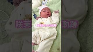 赤ちゃんの成長記録