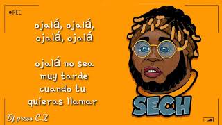 Sech ft Farina ft Mozart La Para – Ojalá  (LETRA)