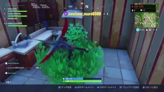ふぉーとないと