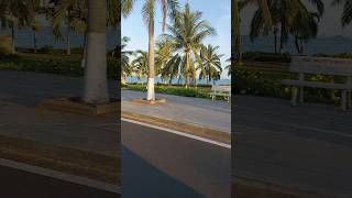 Quy Nhon Beach #video #feed #vlog #trending #view #review #shorts #viral #blog #travel #sea #sun