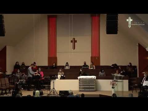 Rut Veverita Cantare