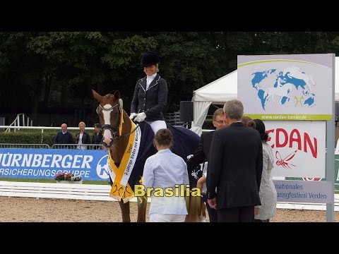 Hannoveraner Reitpferde-Championat 2016 - Dreijährige Stuten und Wallache