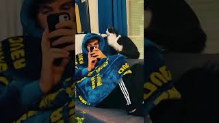 Demon Cat 🤣🐱#cats #lovecats #catvideos #catlover #catshorts #CatShorts #cat #funnycats