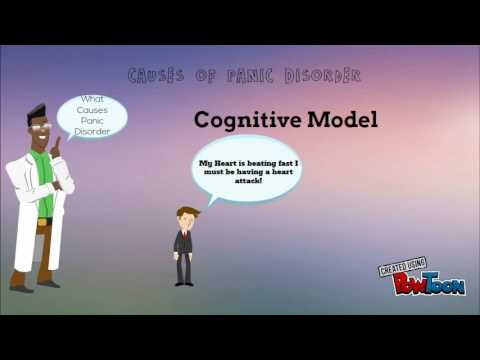 Panic Disorder Podcast-University of Limerick