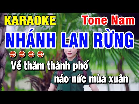 Nhánh Lan Rừng Karaoke Nhạc Sống Tone Nam ( Beat Hay ) Huỳnh Lê