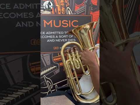 SOUND SAGA® Euphonium 3 Valve Bb Pitch Including Mouthpiece and Carry Case. image 6