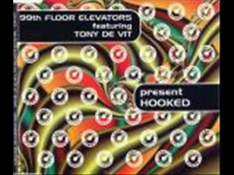 99th Floor Elevators - Hooked