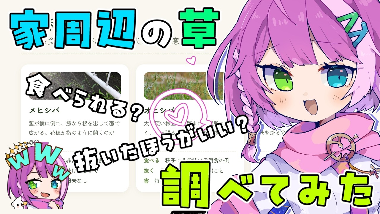 【#雑談】家周辺の草、調べてみた結果ｗｗｗ☘️🌿【億千よろず】