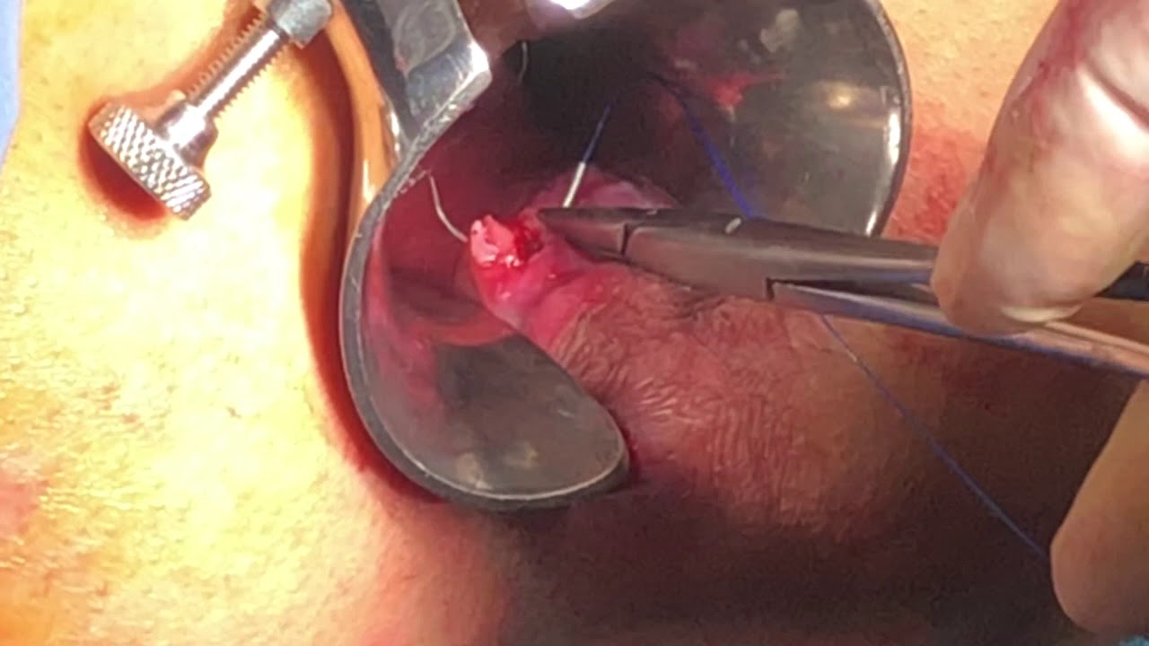 Giovanni Mariotta-10