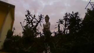 The Four Postmen "The Way Things Are"