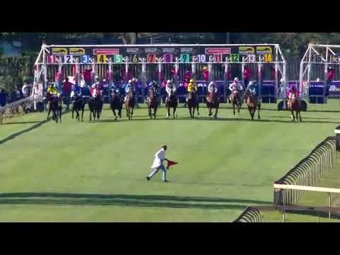 2022.06.04  South African Fillies Sprint (RSA) - Captain's Ransom