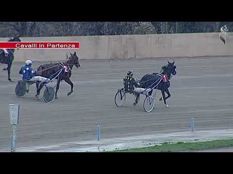 Aversa trotto 2 Dicembre 2020 - 2° Corsa