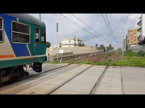 Treno Regionale Aln663 1164 Regionale 22479 Roccella Jonica-Reggio di Calabria Centrale