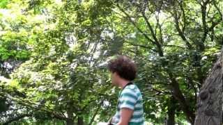 Jeremy Fisher - Shine A Little Light