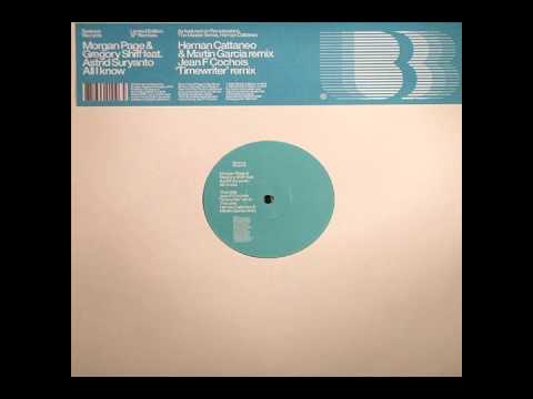 Morgan Page & Gregory Shiff - All I Know (Jean F. Cochois' Timewriter Remix) (edit)