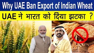 Why UAE Ban Export of Indian Wheat ? UAE ने भारत को दिया झटका ?
