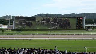 [閒聊] 真實賽馬場的氣氛是怎麼樣?