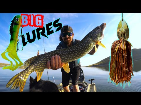 Does Fishing Huge Lures Actually Catch Bigger Fish? Medussa Swim Bait!