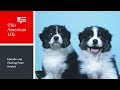 Starting From Scratch | This American Life | Episode 233