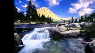 Neuroticfish   Why Don&#39;t You Hate Me